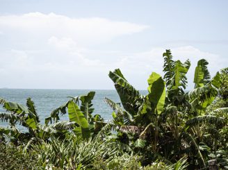 sul-ilha sul-ilha